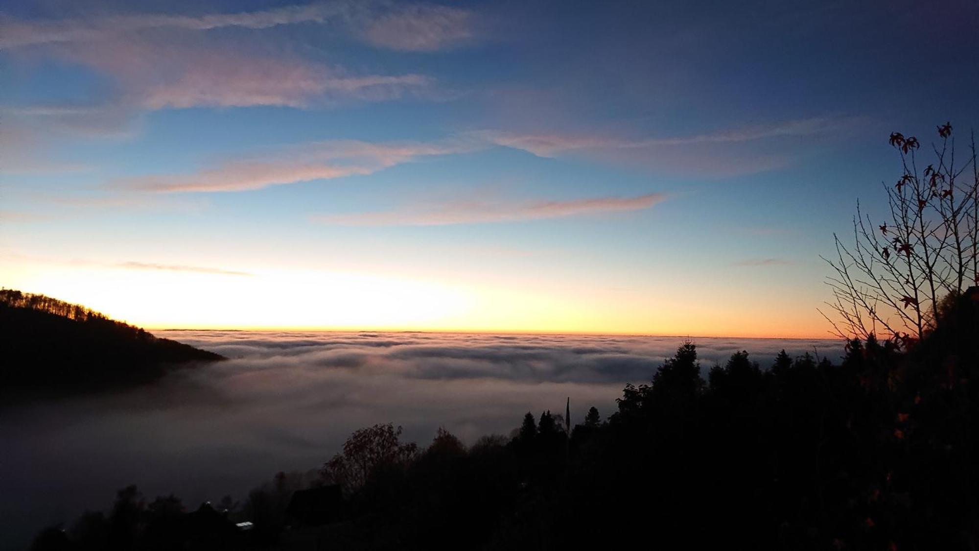 Haus Talblick Sasbachwalden Villa Exteriör bild
